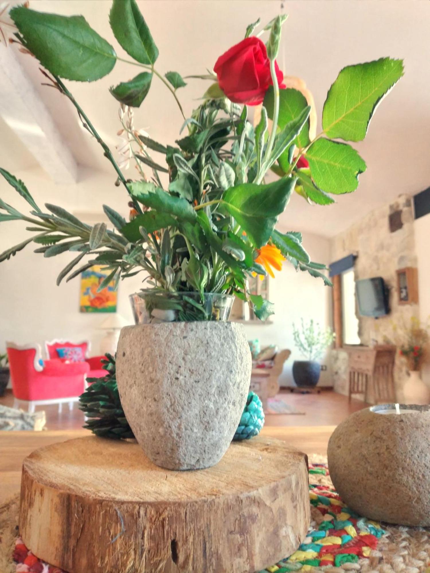 Loft Carriones Βίλα Castilléjar Εξωτερικό φωτογραφία